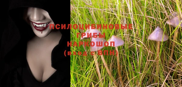 крисы Абдулино