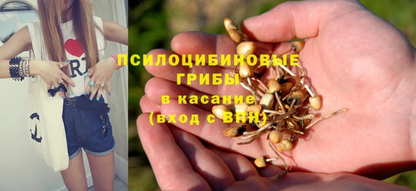 крисы Абдулино