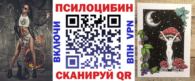 Псилоцибиновые грибы Psilocybe  что такое   darknet наркотические препараты  Яранск 